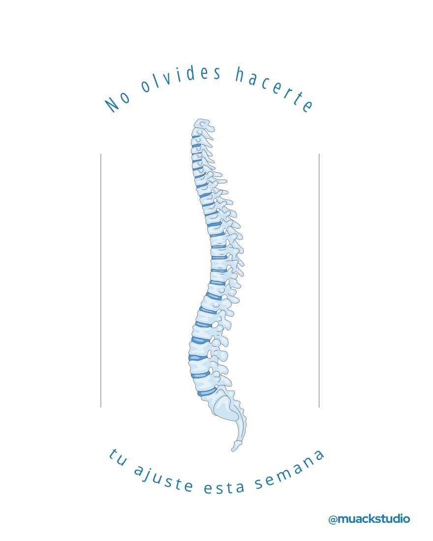 Diseño de Muack Studio